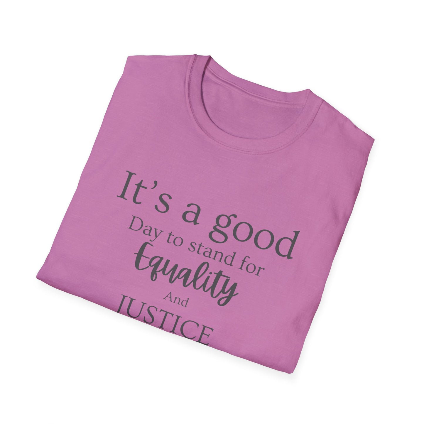 Stand for Equality and Justice Unisex Softstyle T-Shirt