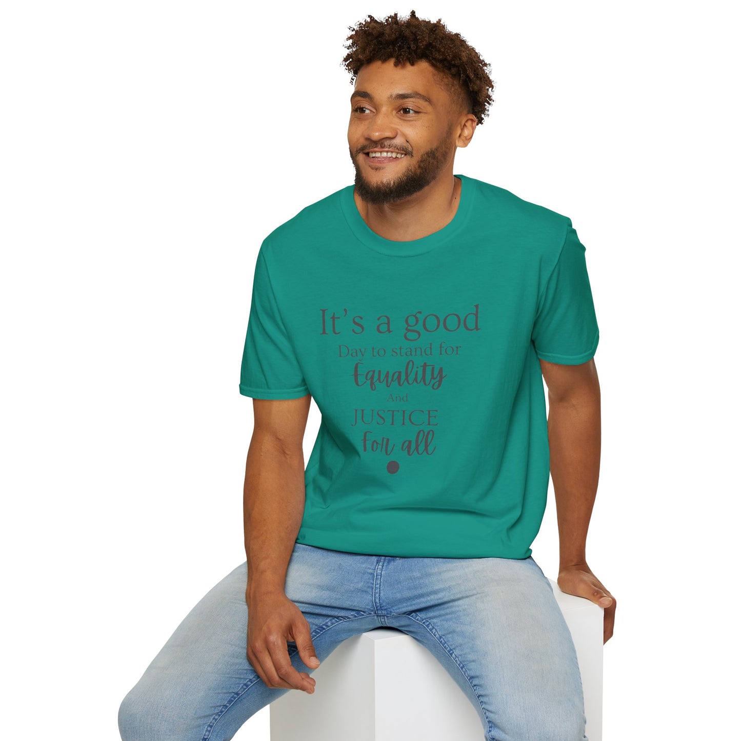 Stand for Equality and Justice Unisex Softstyle T-Shirt