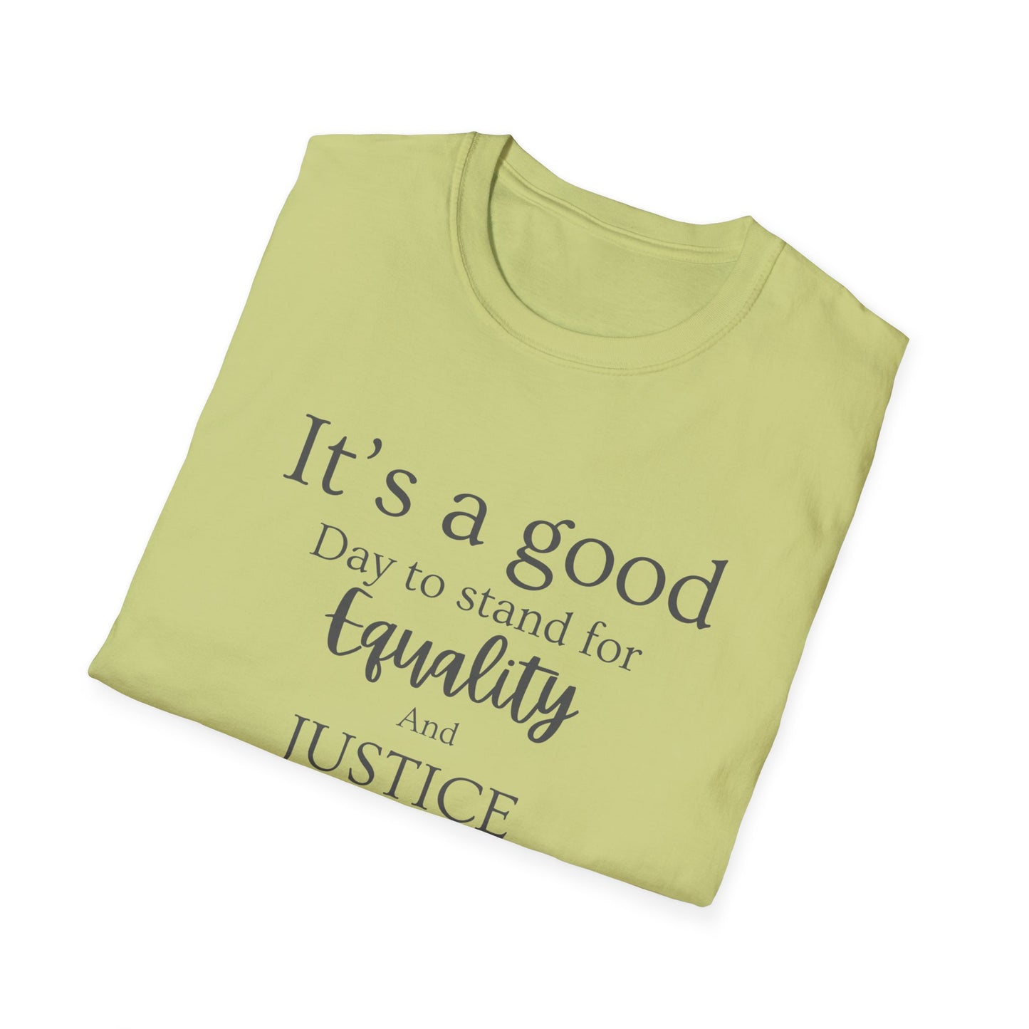 Stand for Equality and Justice Unisex Softstyle T-Shirt